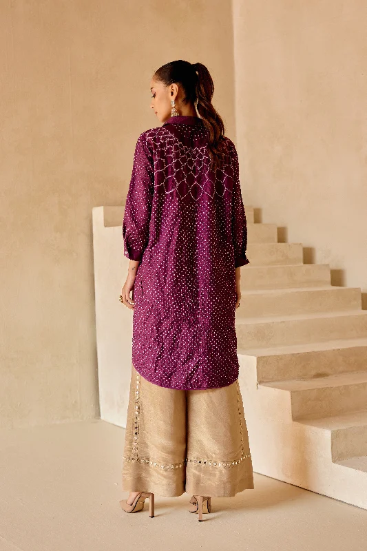 Tissue Embellished Flared Pants Elegant Silk Pants